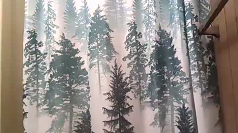 SEX ADDICTION WANNA MEET online show from 12/12/24, 02:37