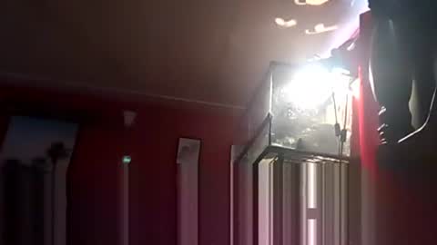 SEX ADDICTION WANNA MEET online show from 12/19/24, 06:34