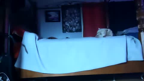 SEX ADDICTION WANNA MEET online show from 01/20/25, 06:10