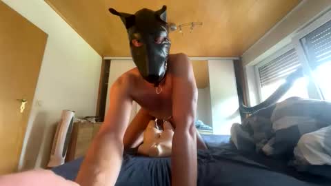 playdog123 online show from 09/21/25, 11:56