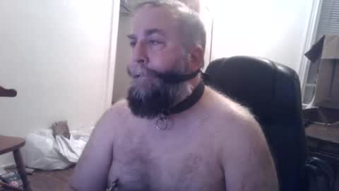 Snapshot of pleasurepuppt chatting on 12/03/24, 01:52 pleasurepuppt online show from 12/03/24, 01:52