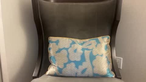 pluz69 online show from 01/08/26, 11:34