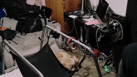 Pup Seth online show from 10/19/25, 01:23