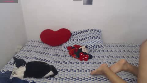 Pocahontas online show from 02/04/26, 06:47