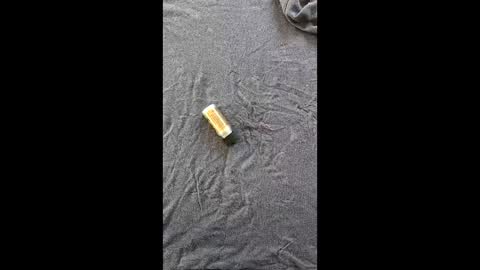 pocoloco0001 online show from 04/15/26, 05:58