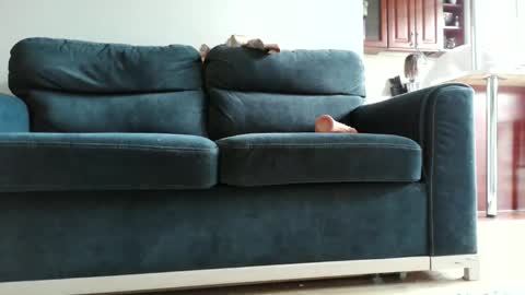 pokusss online show from 01/15/26, 01:05