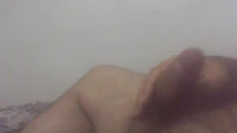 pol2023 online show from 11/12/25, 03:40