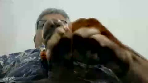 poli online show from 11/17/25, 02:56