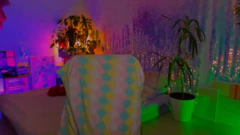 Snapshot of poli__ chatting on 01/31/26, 07:11 Martha online show from 01/31/26, 07:11