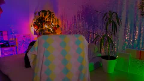 Snapshot of poli__ chatting on 02/09/26, 03:49 Martha online show from 02/09/26, 03:49