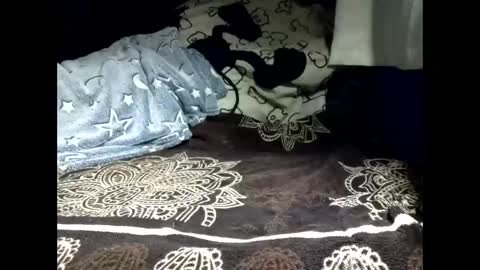 pollachico online show from 02/18/26, 08:32