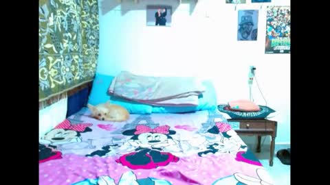 Snapshot of pollon8_kbezon chatting on 01/05/25, 08:42 Gian online show from 01/05/25, 08:42