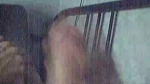 polochar online show from 03/15/26, 04:40