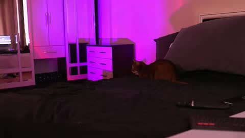 Snapshot of polusladkoye chatting on 09/17/25, 01:02 Megan.online online show from 09/17/25, 01:02