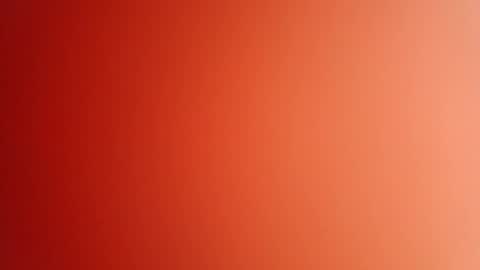 pop297248 online show from 04/14/26, 02:45