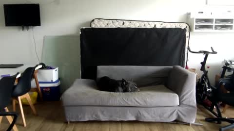 Snapshot of popopo00 chatting on 01/28/25, 05:24 popopo0 online show from 01/28/25, 05:24