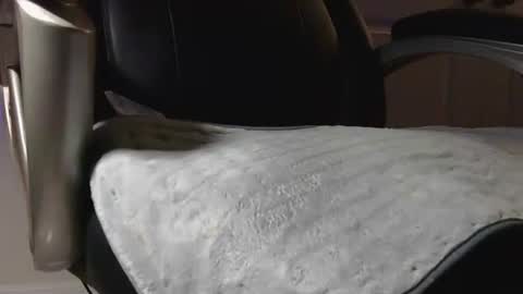 poppyntx online show from 02/20/26, 03:36