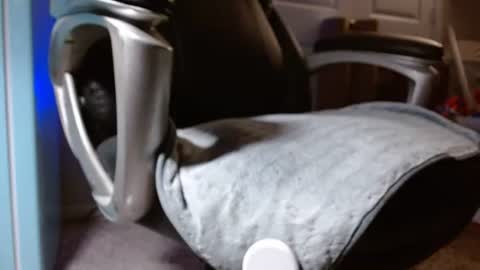 poppyntx online show from 05/24/26, 03:00