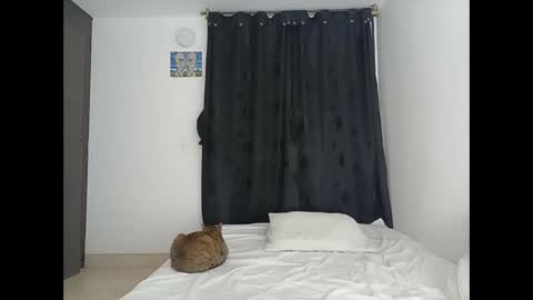 porcelainlux online show from 03/16/26, 01:22