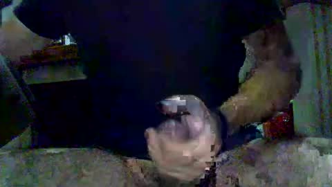 porcellobolognese online show from 06/08/26, 01:28