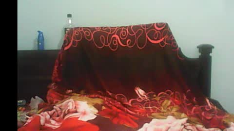 Snapshot of pornojedigoa chatting on 01/04/25, 08:39 Koko Lar online show from 01/04/25, 08:39