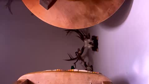 PornStriker online show from 10/19/25, 04:24