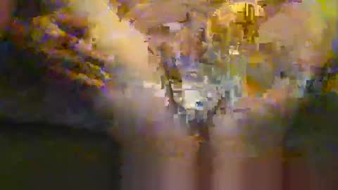 portal3444 online show from 11/30/25, 08:35