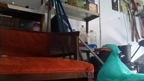 Snapshot of poundgame0710 chatting on 09/14/25, 04:50 PipeLayerPlayer007 online show from 09/14/25, 04:50