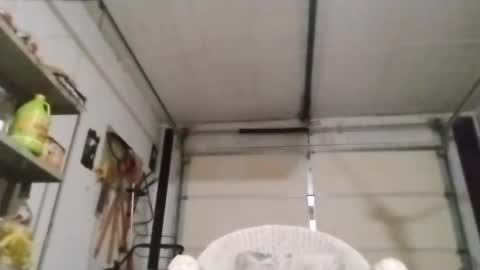 Snapshot of poundgame0710 chatting on 10/04/25, 05:38 PipeLayerPlayer007 online show from 10/04/25, 05:38