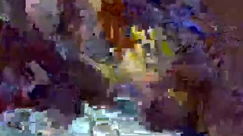 precious_nesh online show from 05/13/26, 11:07