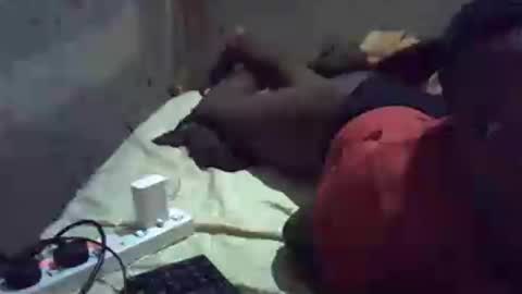 precious_nesh online show from 06/21/26, 05:37