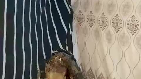 pretty705007 online show from 03/21/26, 12:26