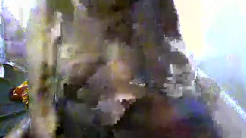 pretty_barbz online show from 03/08/25, 03:06