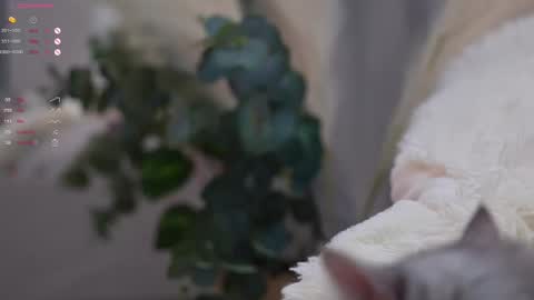 Elina online show from 03/11/25, 07:03