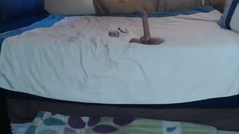 Cindy online show from 07/08/26, 06:29