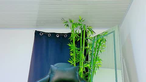 Enzo  Denis online show from 11/27/25, 09:06