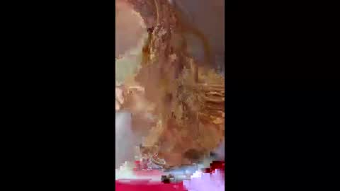 prettymoneychaser online show from 04/17/26, 08:12