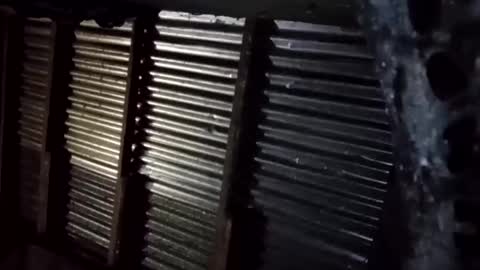 Snapshot of prettyneca5991 chatting on 01/16/26, 05:28 prettyneca5991 online show from 01/16/26, 05:28