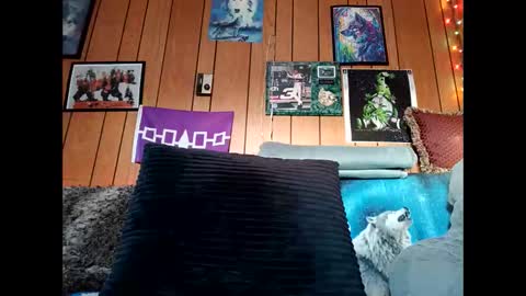 prettysolid7 online show from 02/15/26, 12:58