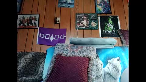 prettysolid7 online show from 03/03/26, 12:55