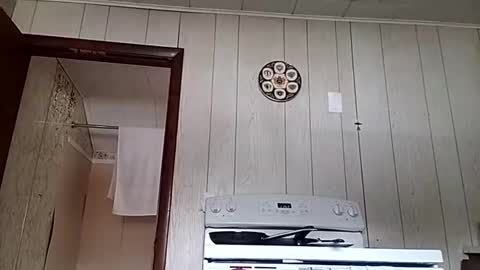 prettysolidd7 online show from 12/01/24, 04:29