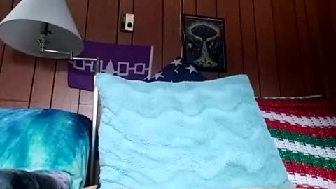 prettysolidd7 online show from 12/04/24, 02:59