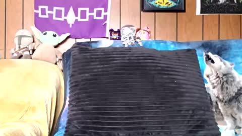 prettysolidd7 online show from 01/05/25, 02:52