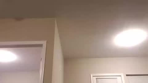 prettysolidd7 online show from 01/07/25, 03:57