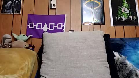 prettysolidd7 online show from 01/27/25, 10:06