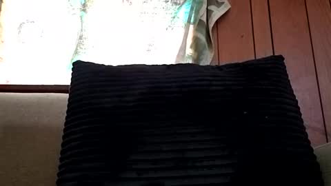 prettysolidd7 online show from 02/15/25, 12:54