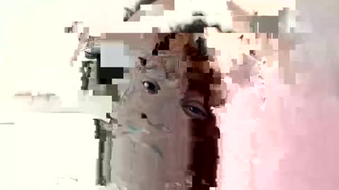 Princess Asshole online show from 10/06/25, 10:45