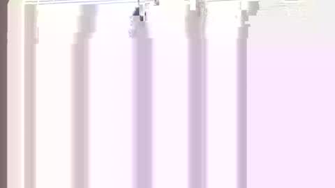 Princess Asshole online show from 04/21/26, 12:22