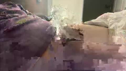 prishpreed23 online show from 03/12/26, 11:38