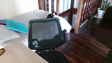 Snapshot of prismm_ chatting on 09/14/25, 01:21 prismm_ online show from 09/14/25, 01:21